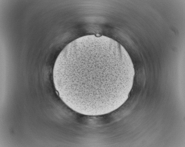 X0000111010229200907171841