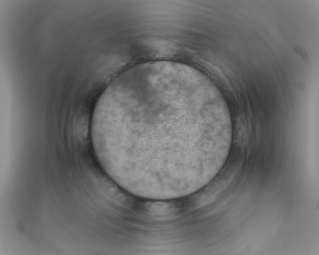 X0000111010230200907171841