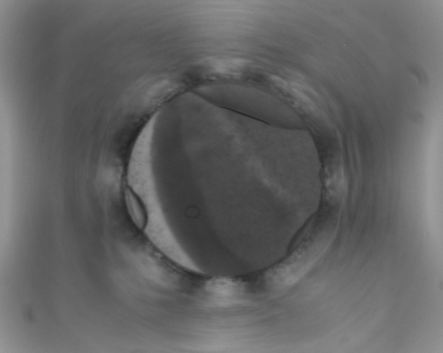 X0000111010231200907171841