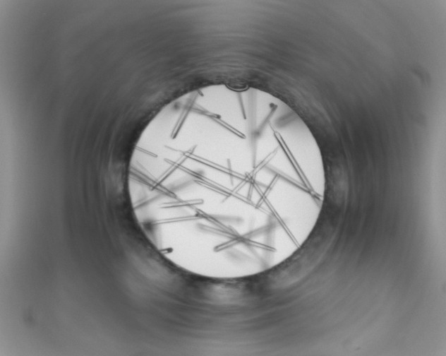 X0000111010232200907171841