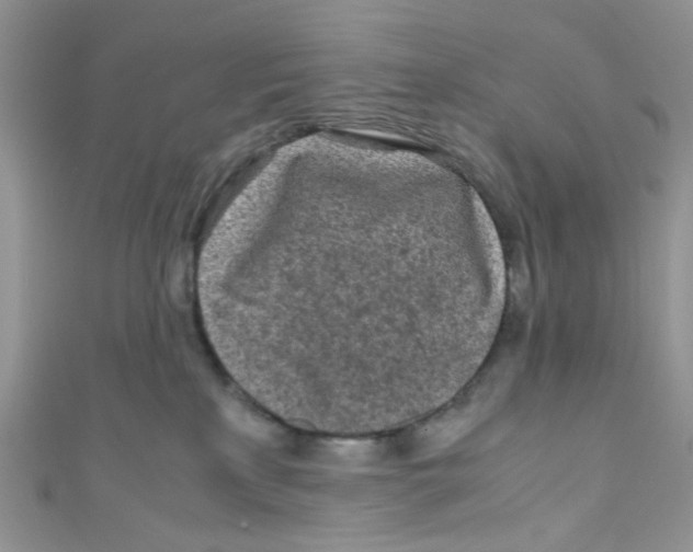 X0000111010233200907171841