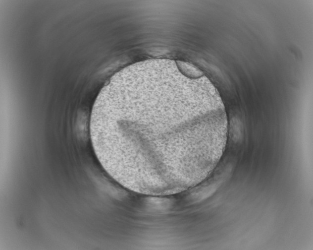 X0000111010234200907171841
