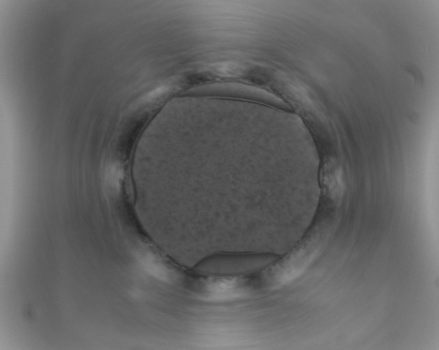 X0000111010235200907171841