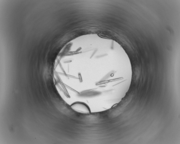 X0000111010236200907171841