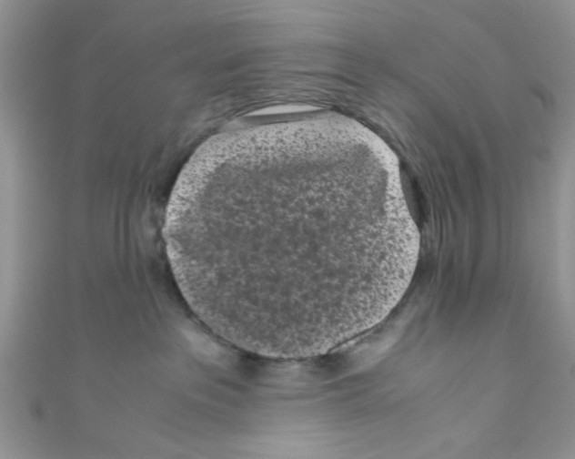 X0000111010237200907171841