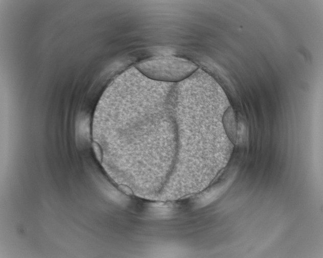 X0000111010238200907171841