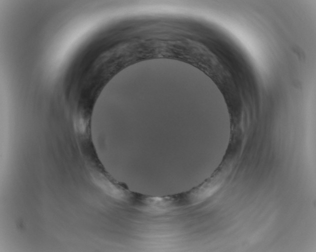 X0000111010239200907171841