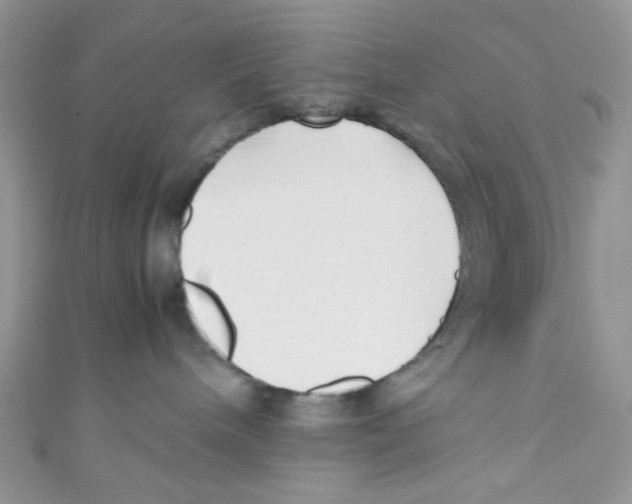 X0000111010240200907171841