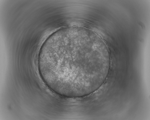 X0000111010241200907171840
