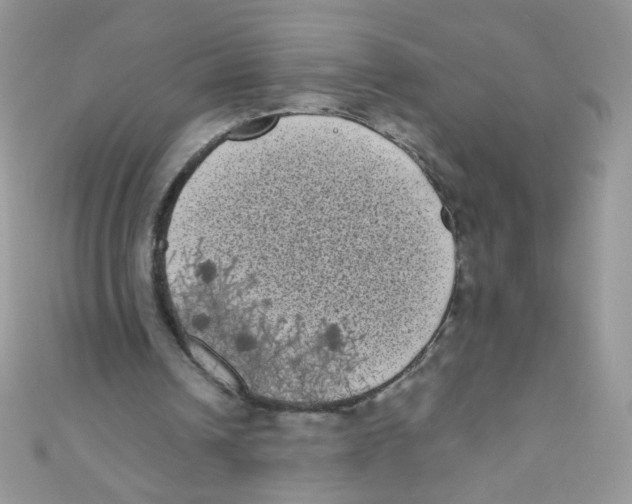 X0000111010242200907171840