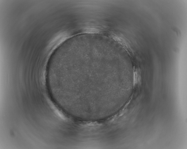 X0000111010243200907171840