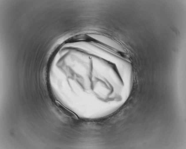 X0000111010244200907171840