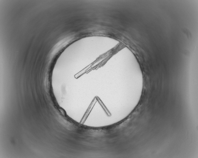 X0000111010245200907171840