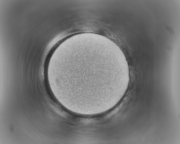 X0000111010246200907171840