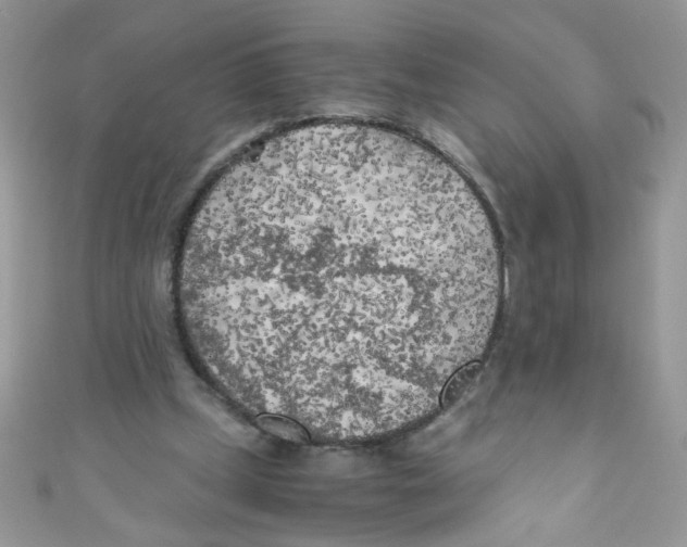 X0000111010249200907171840