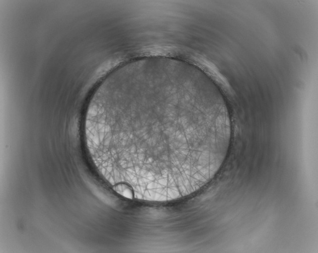 X0000111010250200907171840