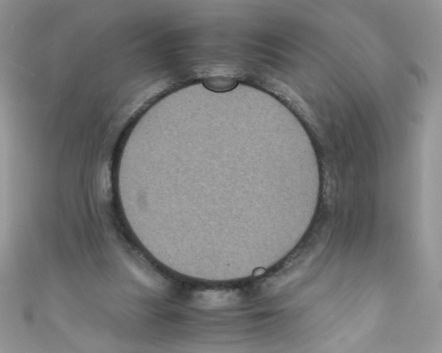 X0000111010251200907171840