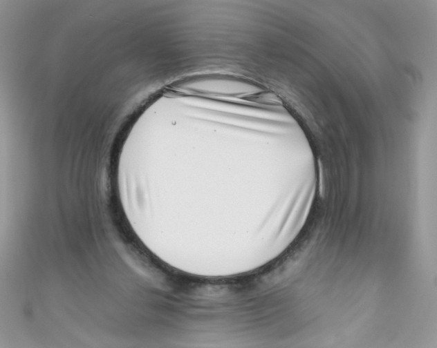 X0000111010252200907171840