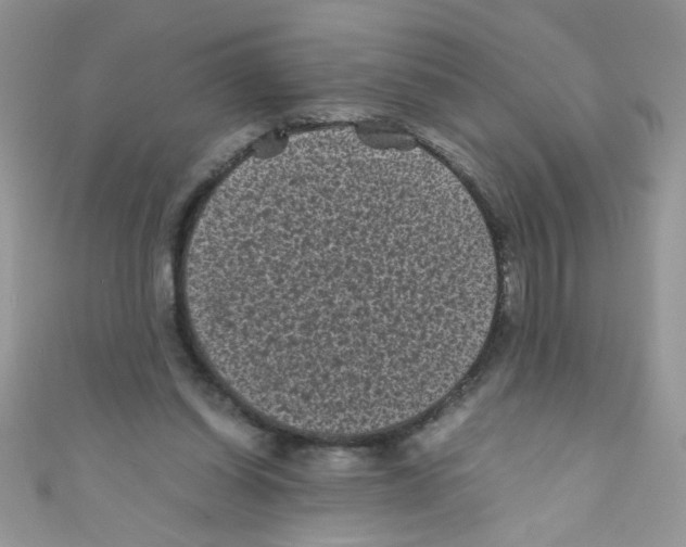X0000111010254200907171840