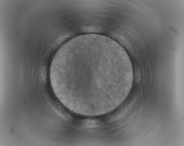 X0000111010255200907171840