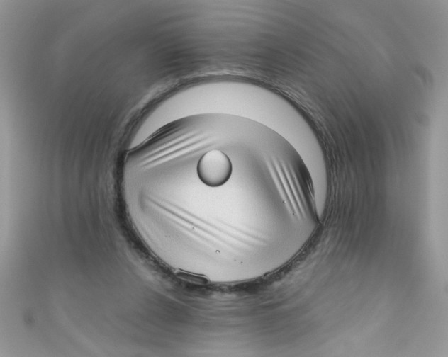 X0000111010256200907171840