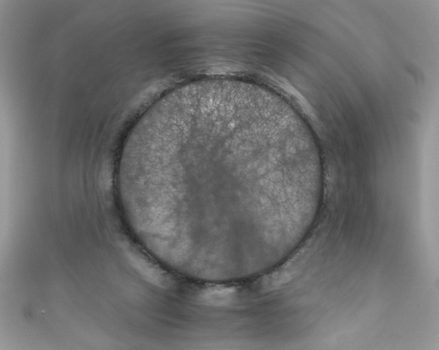 X0000111010257200907171840