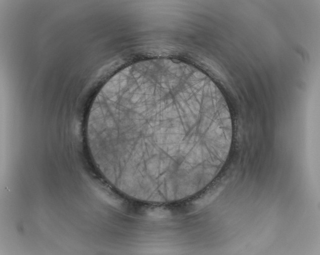 X0000111010258200907171840