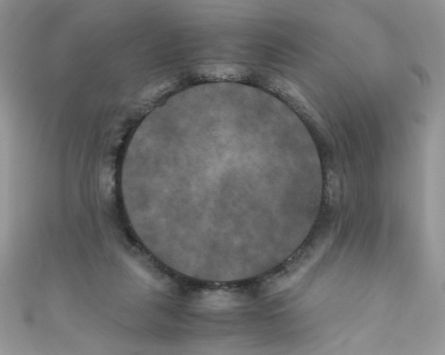 X0000111010259200907171840