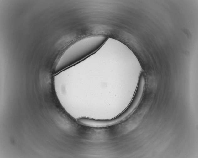 X0000111010260200907171840