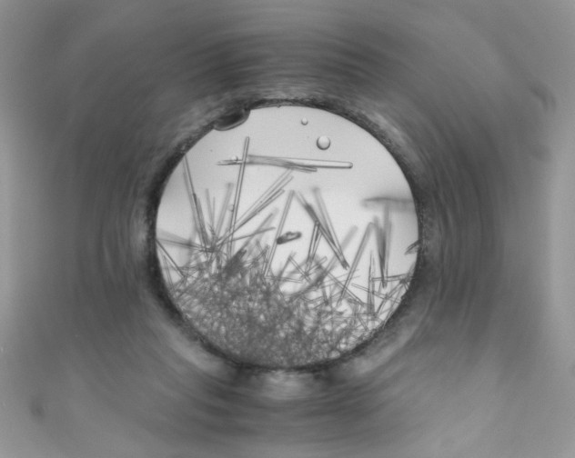 X0000111010261200907171840