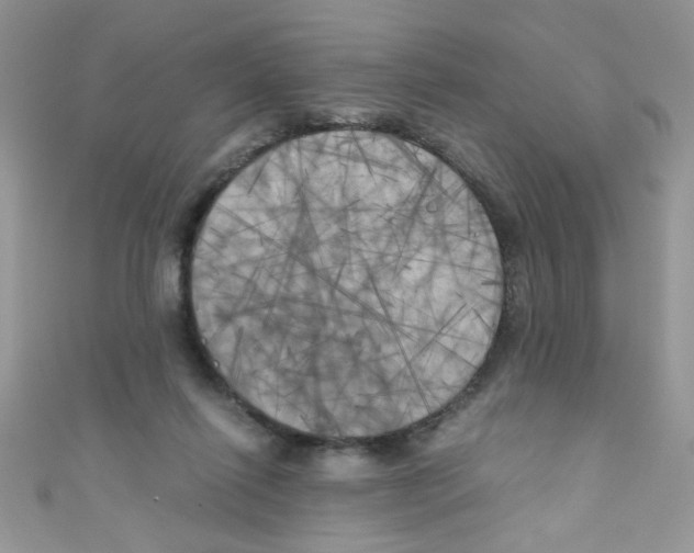 X0000111010262200907171840
