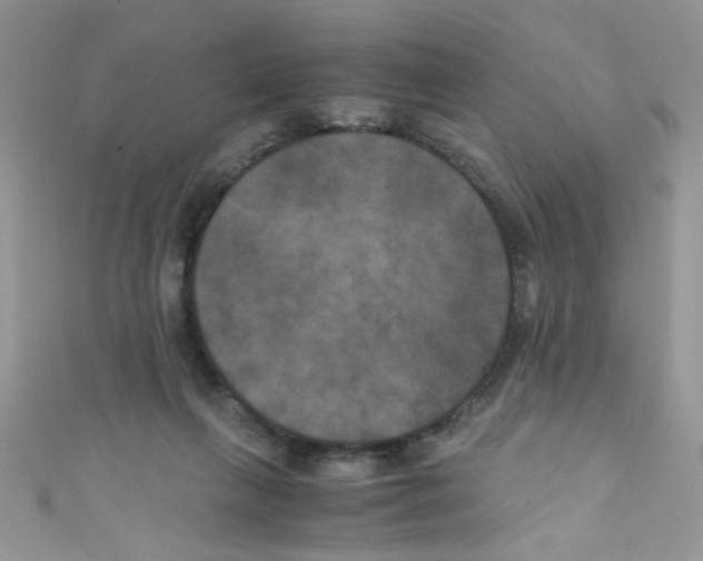 X0000111010263200907171840