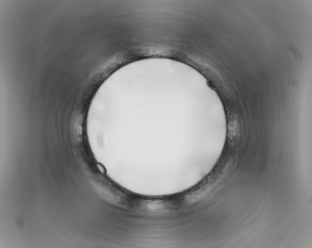 X0000111010264200907171840