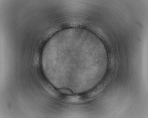 X0000111010266200907171840