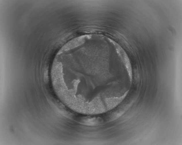 X0000111010267200907171840