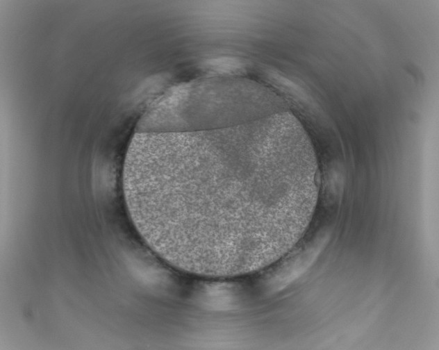 X0000111010268200907171840