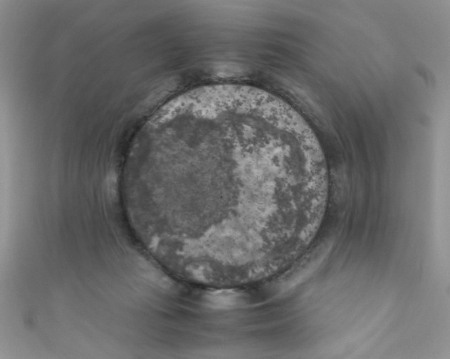 X0000111010269200907171840