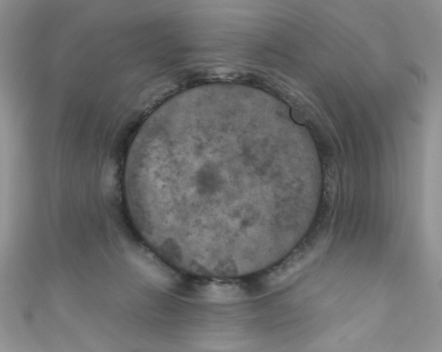 X0000111010270200907171840
