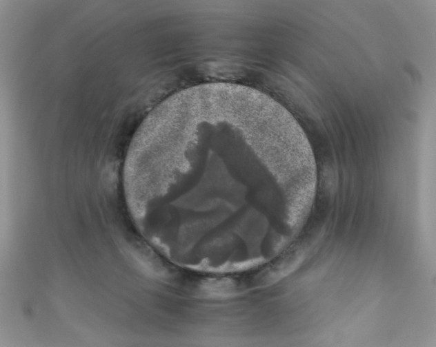 X0000111010271200907171840