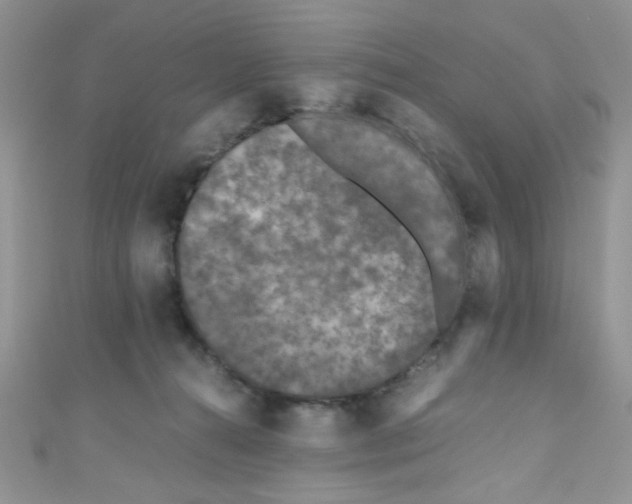 X0000111010272200907171840