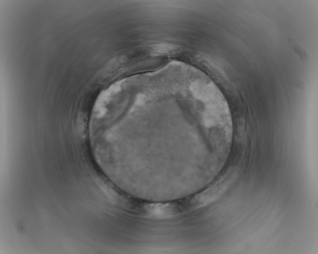 X0000111010273200907171841