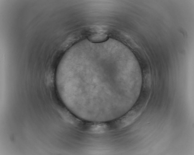 X0000111010274200907171841