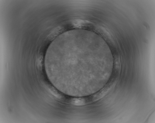 X0000111010275200907171841