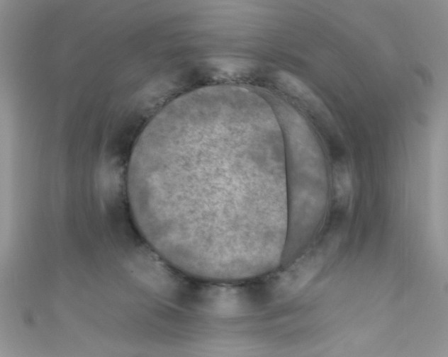 X0000111010276200907171841