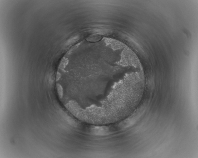 X0000111010277200907171841