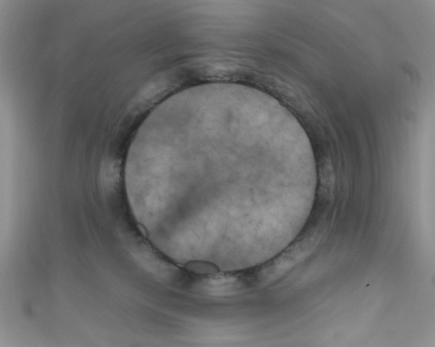 X0000111010278200907171841
