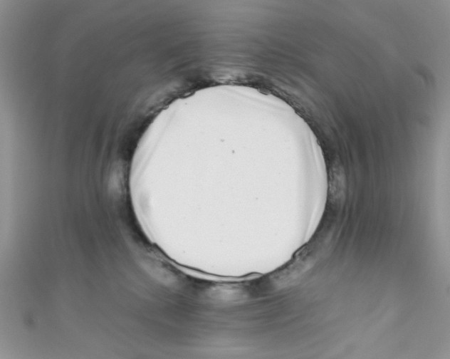 X0000111010280200907171841