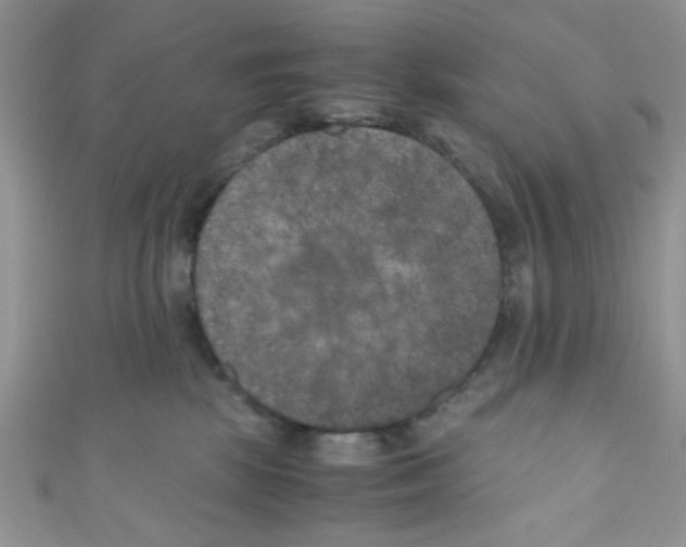 X0000111010281200907171841