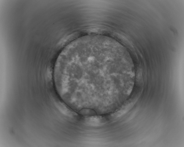 X0000111010282200907171841