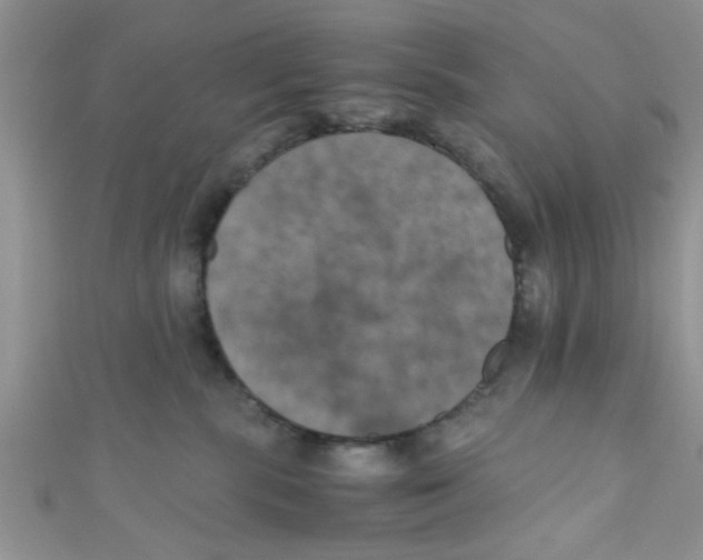X0000111010283200907171841
